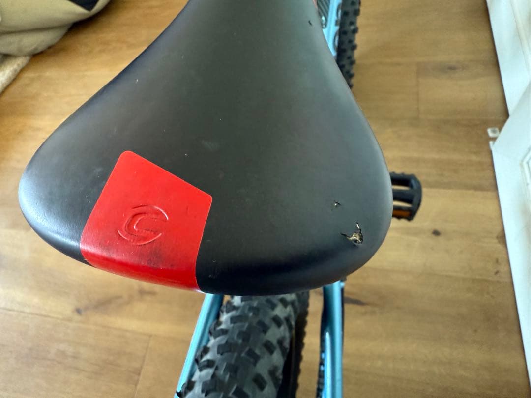 自転車本体 Cannondale Kids Cujo 20