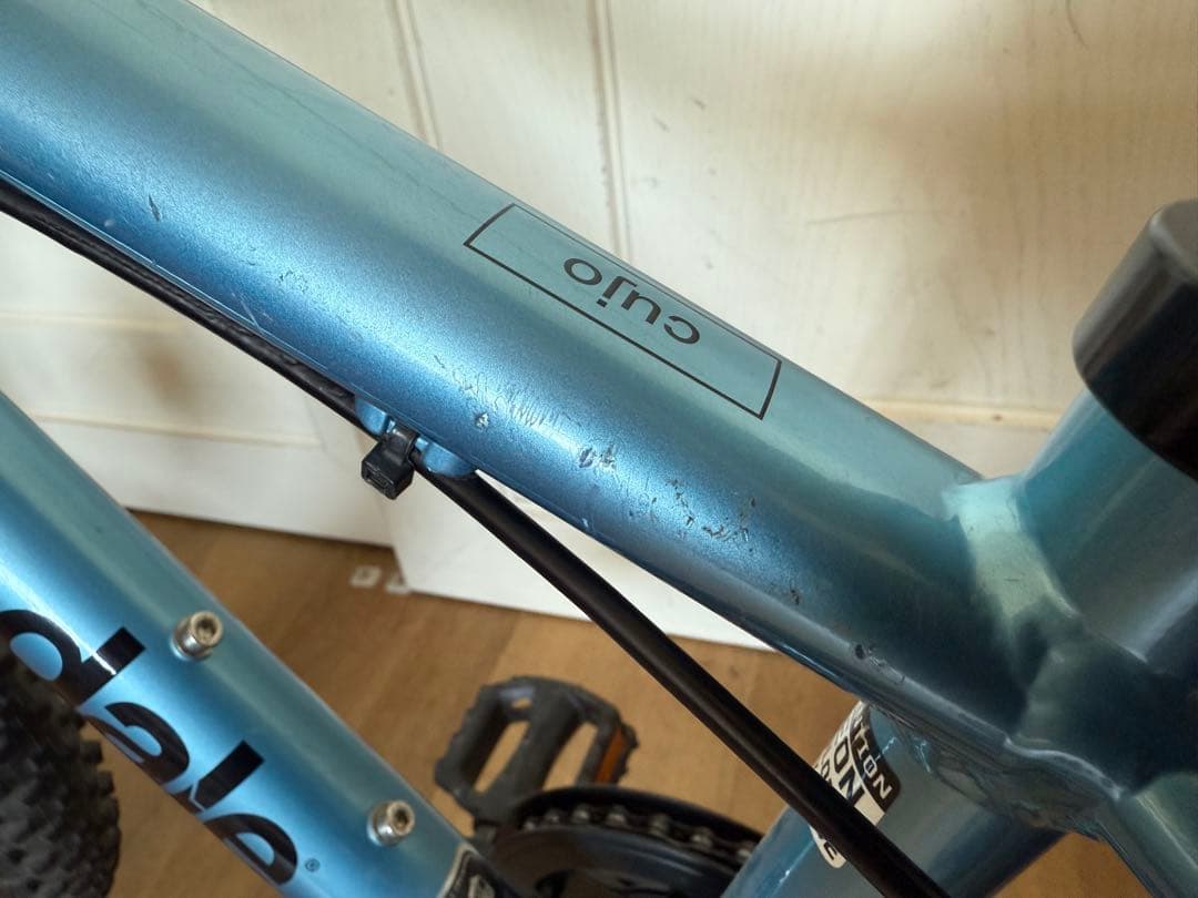 自転車本体 Cannondale Kids Cujo 20