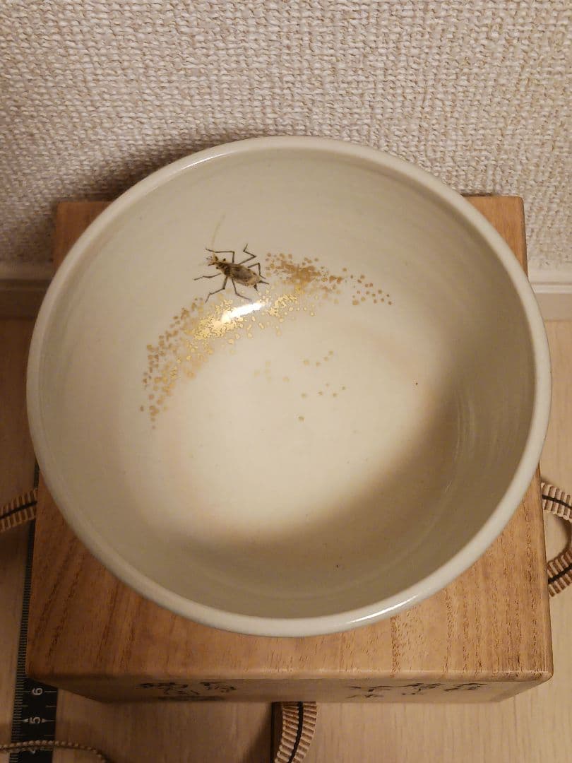 膳所焼 淡海ぜぜ 陽炎園 色絵 秋草に虫 京都 茶器 抹茶椀 陶芸