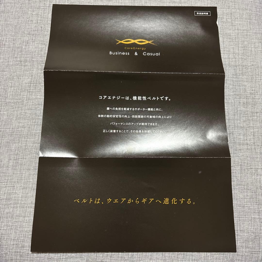 野球ベルト プロ野球選手 愛用 CoreEnergy 体幹サポートコアエナジー