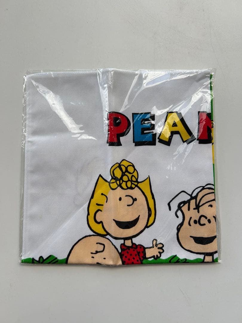 サンリオPEANUTS ランチ5点セット スヌーピー　 入園入学　平成レトロ