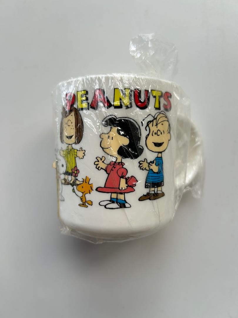 サンリオPEANUTS ランチ5点セット スヌーピー　 入園入学　平成レトロ