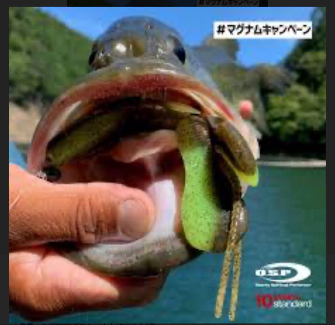 【バス釣り】ワーム Gary YAMAMOTO RAIDジャパン O.S.P
