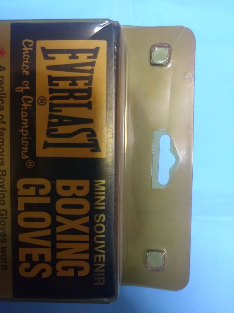 ボクシング エバーラスト ミニチュアグローブ青 Boxing MiniGlobe