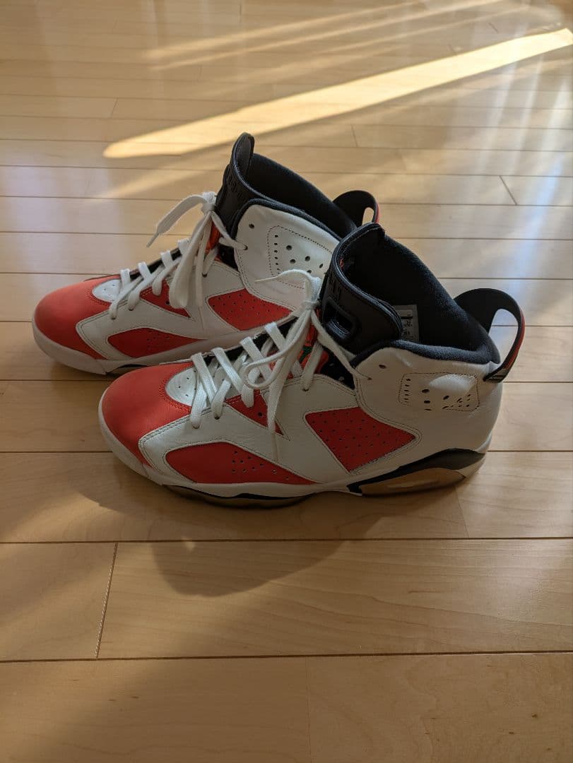 NIKE Air Jordan 6 Retro 28センチ