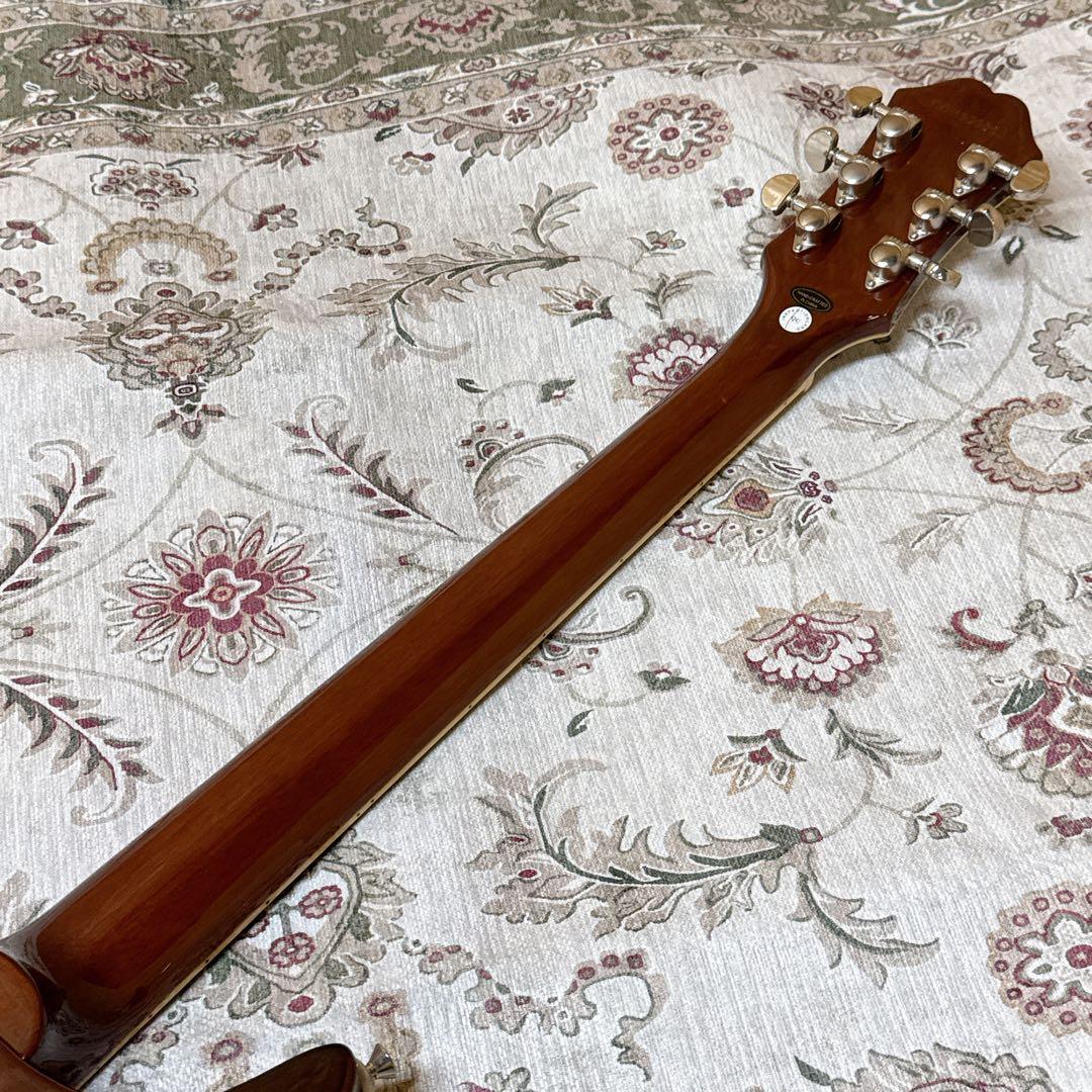 廃盤モデル！Epiphone Les Paul DC PRO コイルタップ搭載