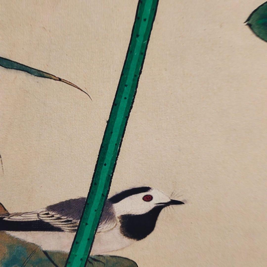 于非庵 荷塘蜻蜓翠鸟图 中国画 掛け軸 水墨画 和室 玄関 茶室 壁掛け 美術品