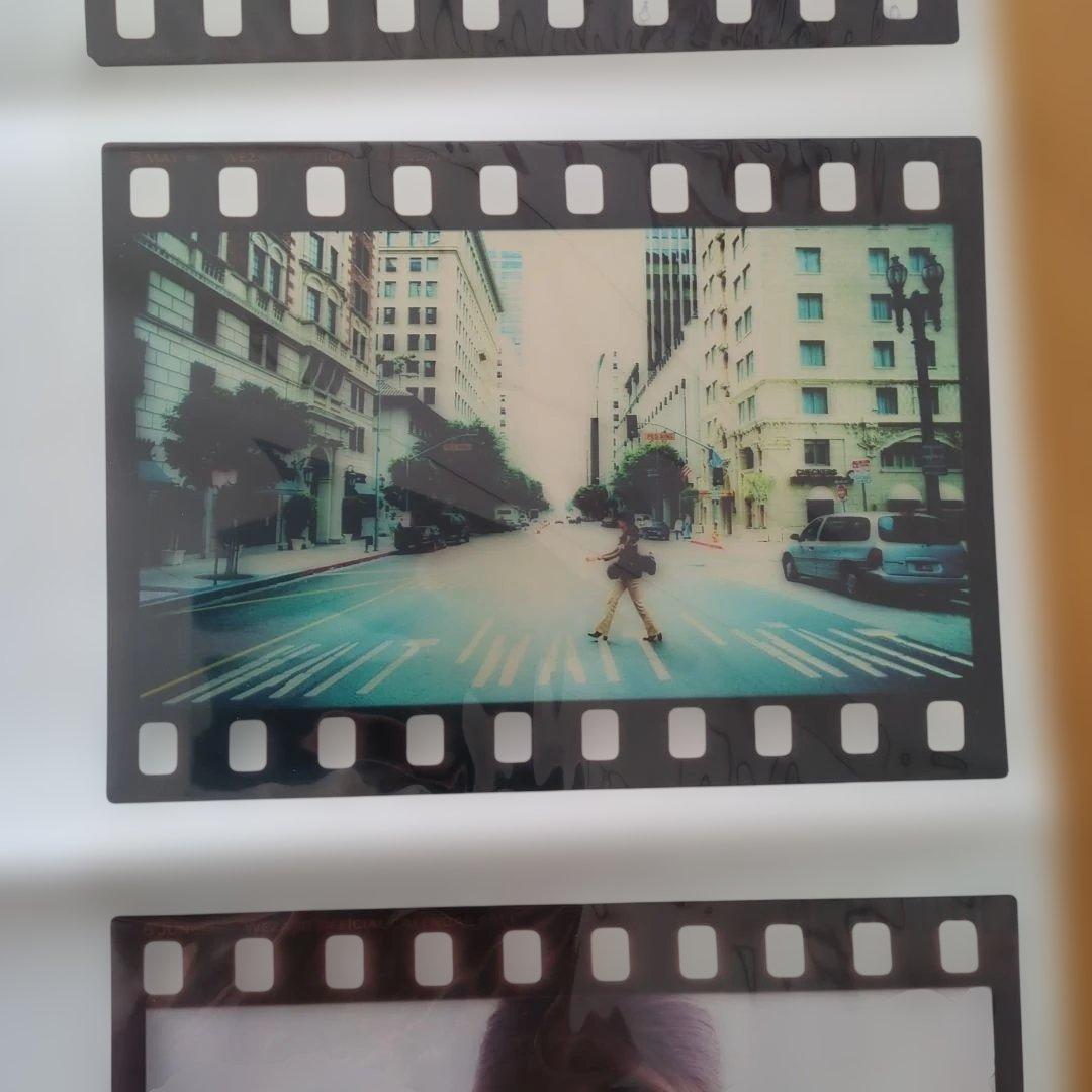 ZARD坂井泉水　2011 WEZARD フィルムスタイル 写真6枚　希少