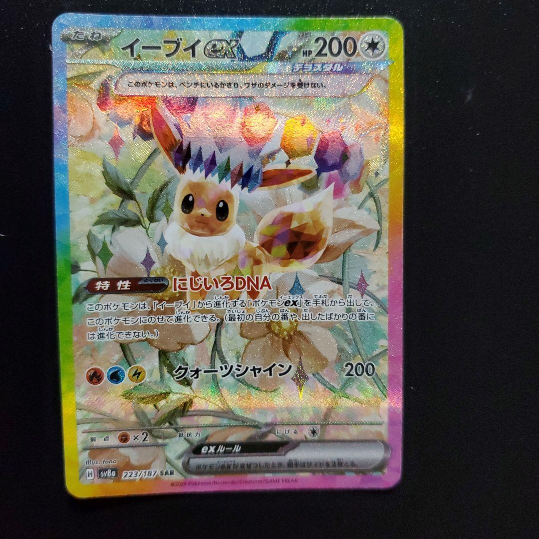カ*イ様 テラスタルフェス ブイズ SAR まとめ売り