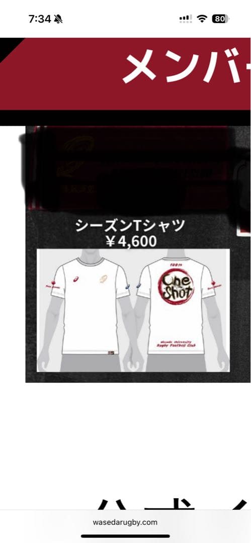 【新品】アシックス 早稲田大学ラグビー部 2025年Tシャツ　XL