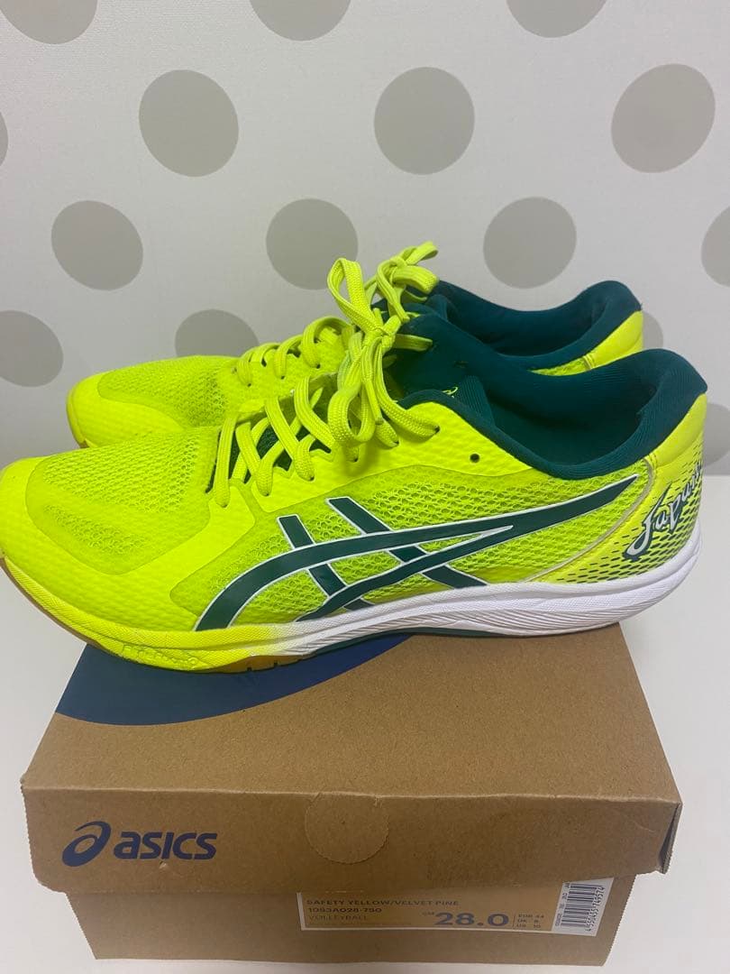 asics バレーボールシューズ ローテジャパン 28㎝