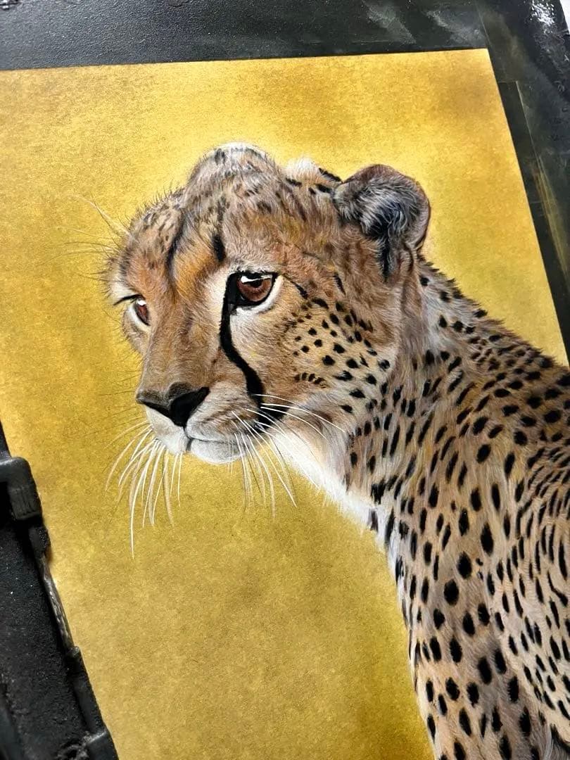 若いチーター　色鉛筆画