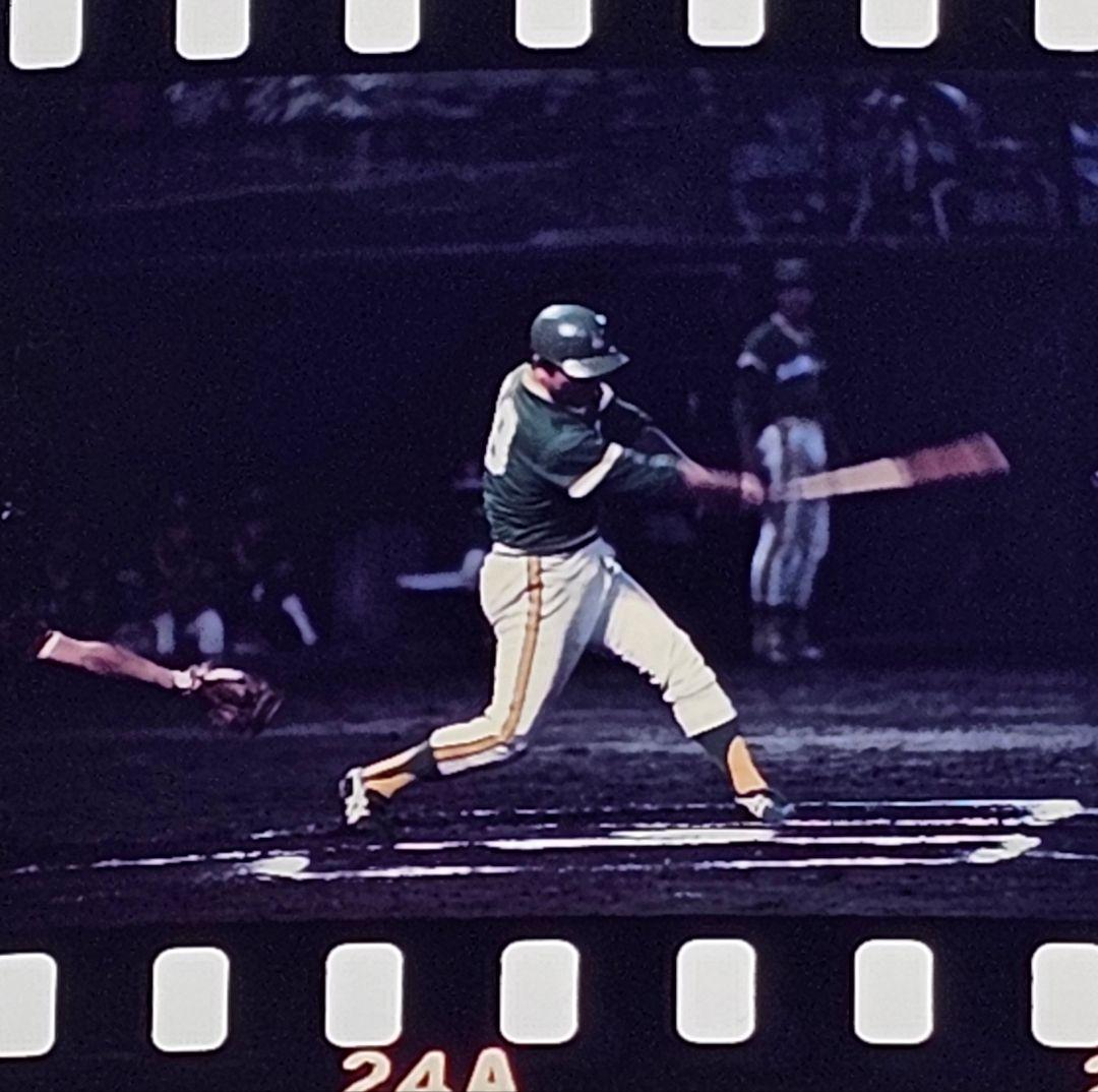 【ブローニーフィルム1コマ＋ポジフィルム3コマ】 野村克也(南海ホークス)