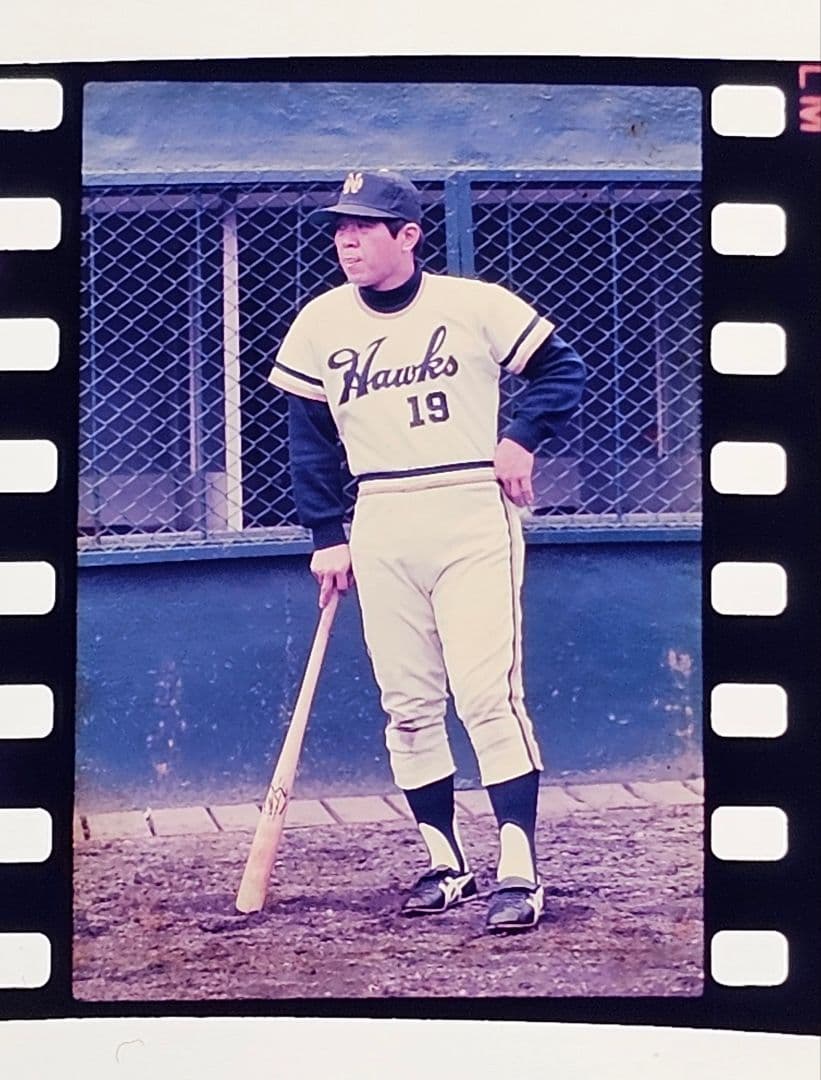 【ブローニーフィルム1コマ＋ポジフィルム3コマ】 野村克也(南海ホークス)
