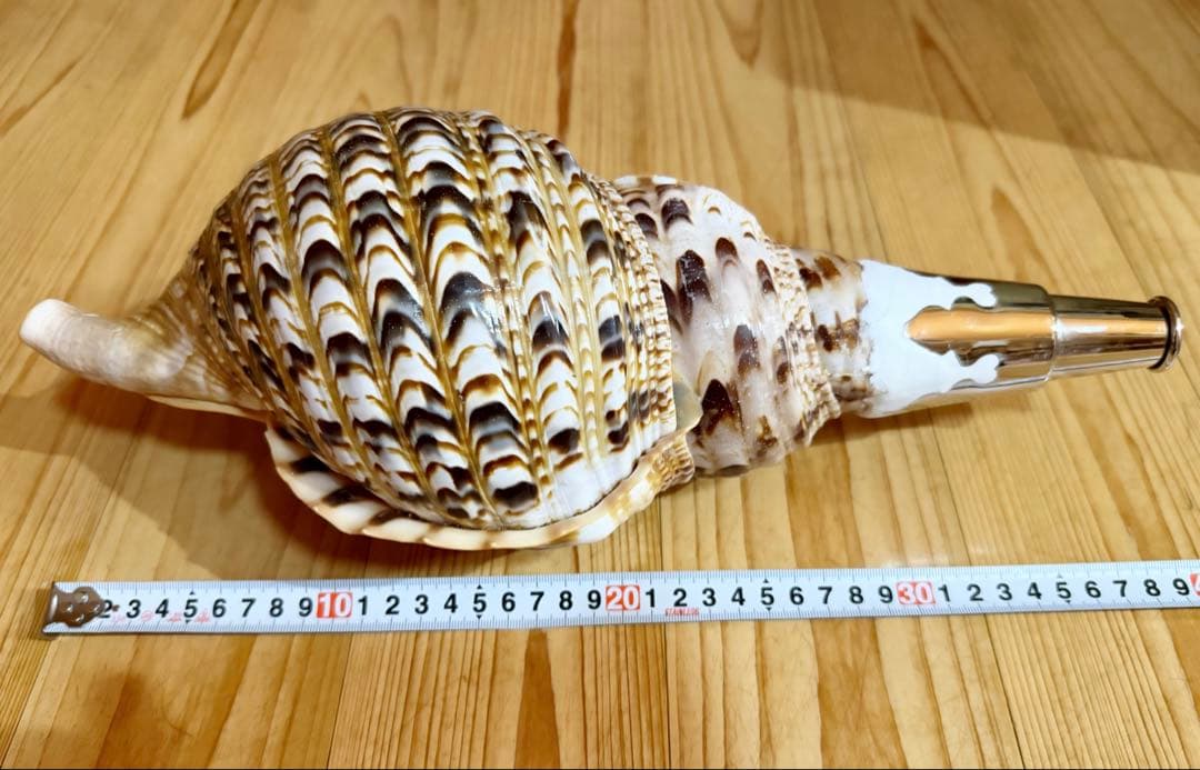 大型修験道法螺貝38.5㎝　山伏　密教　魔除け　熊よけ❣️ホラガイ　ほら貝