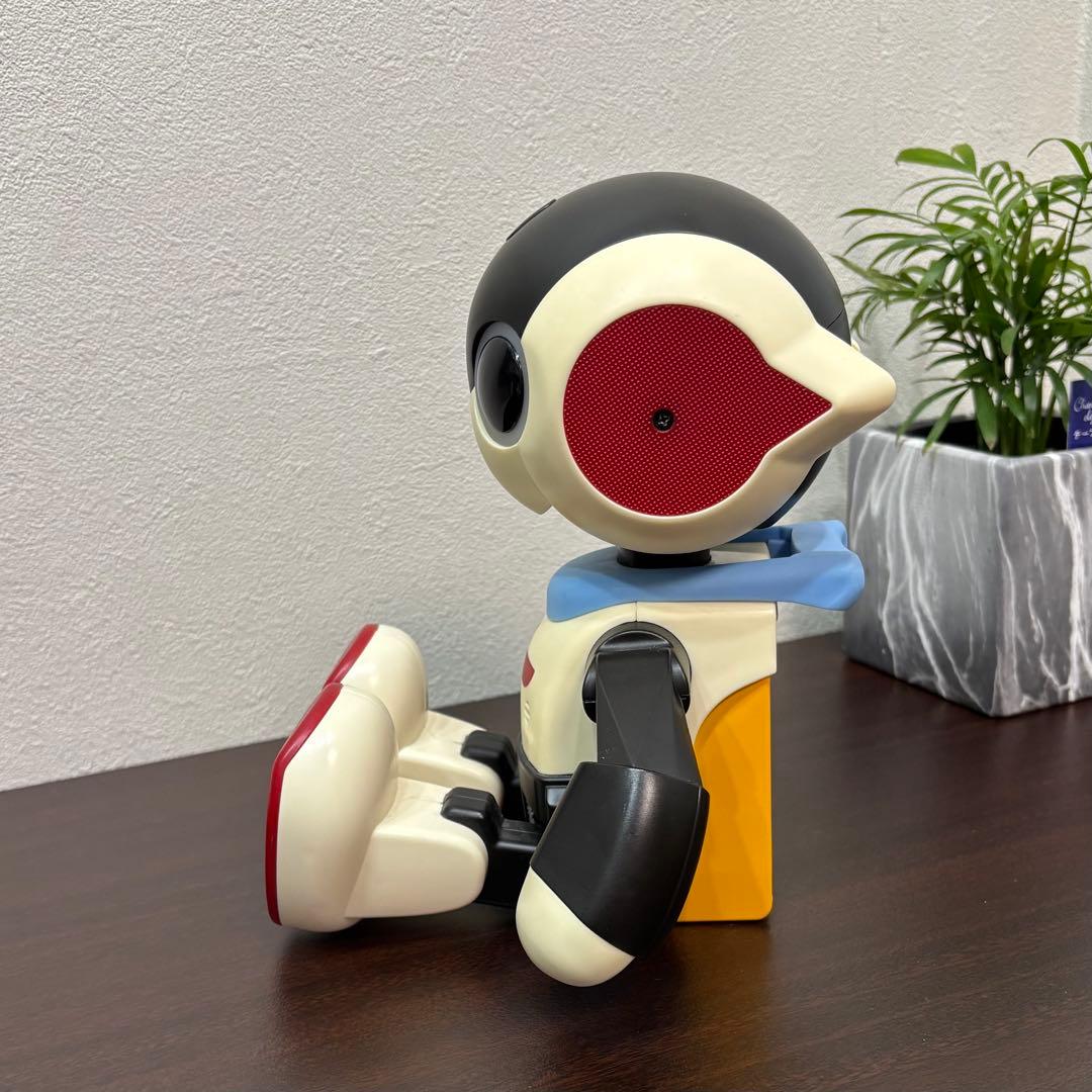 Robi ジュニア