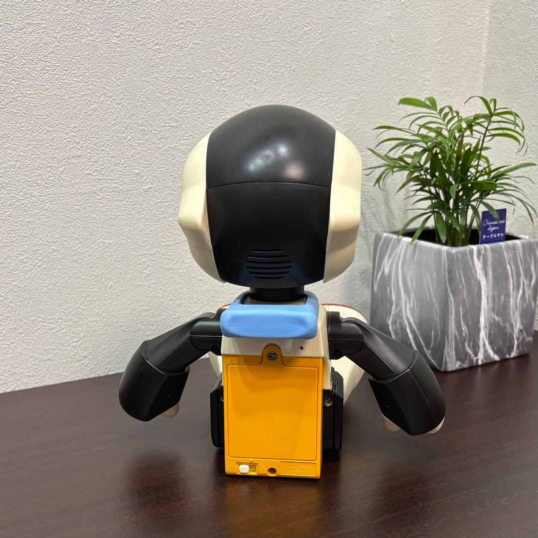Robi ジュニア