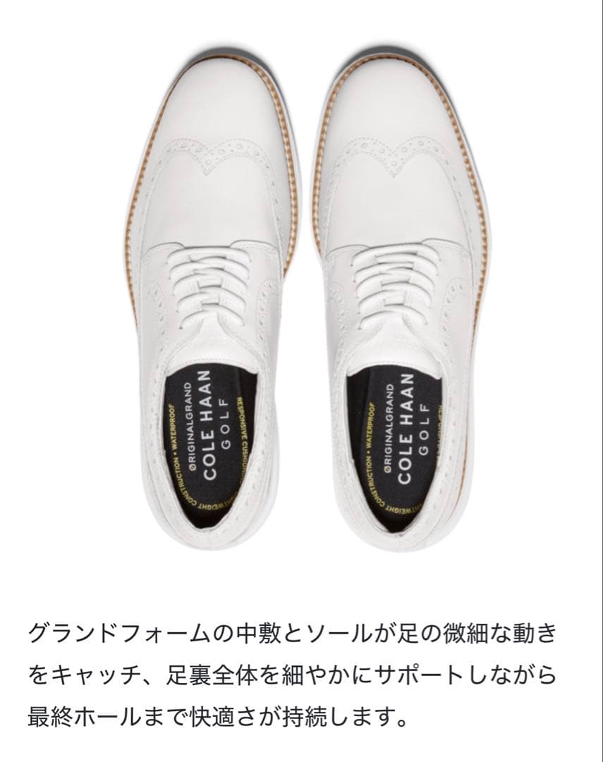 シューズ(男性用) COLE HAAN ORIGINALGRAND WING OXFORD GOLF