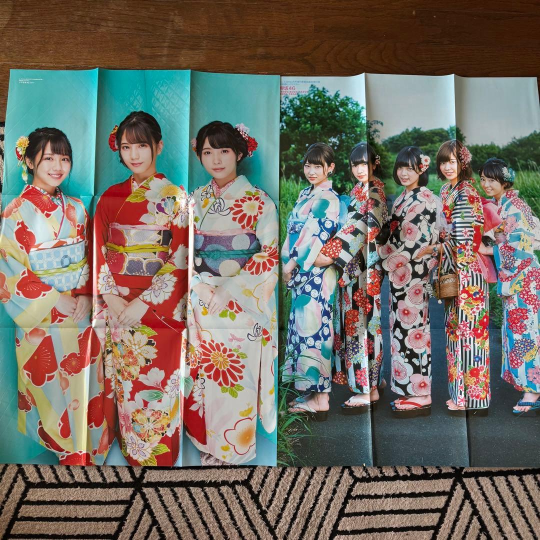 欅坂46 けやき坂本46 付録ポスター ファイル まとめ売り