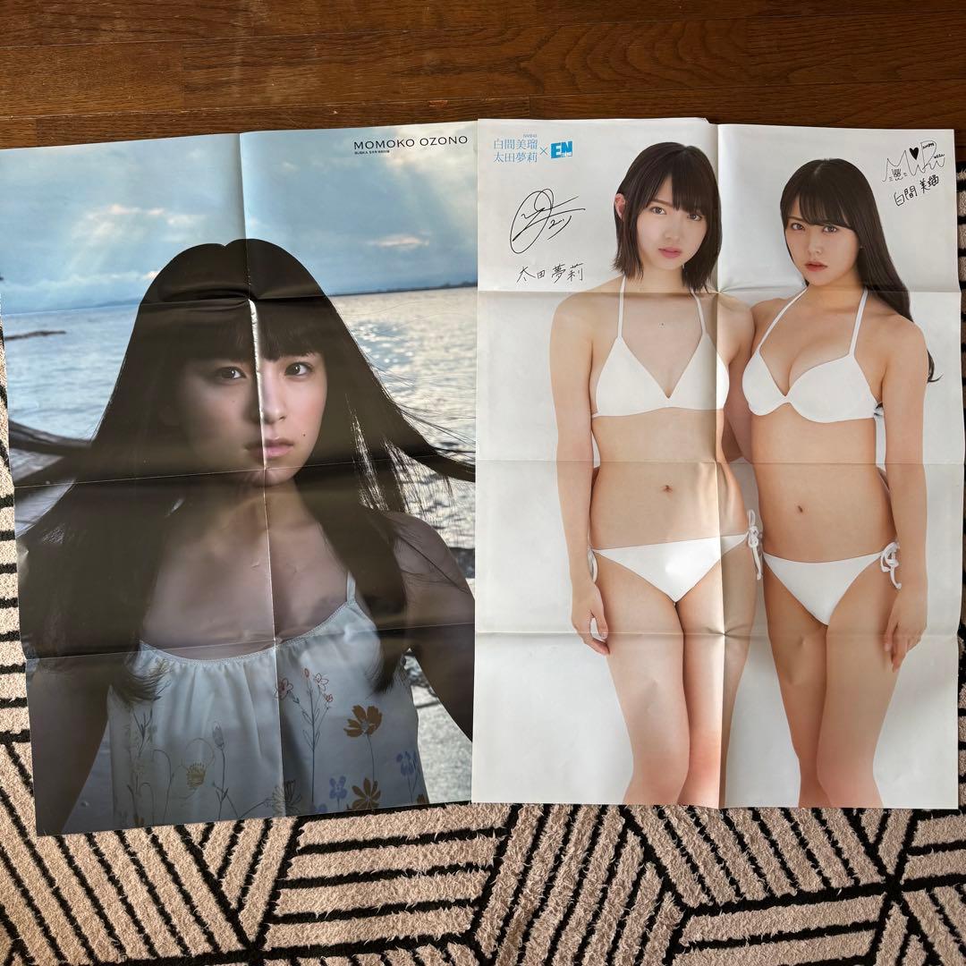欅坂46 けやき坂本46 付録ポスター ファイル まとめ売り