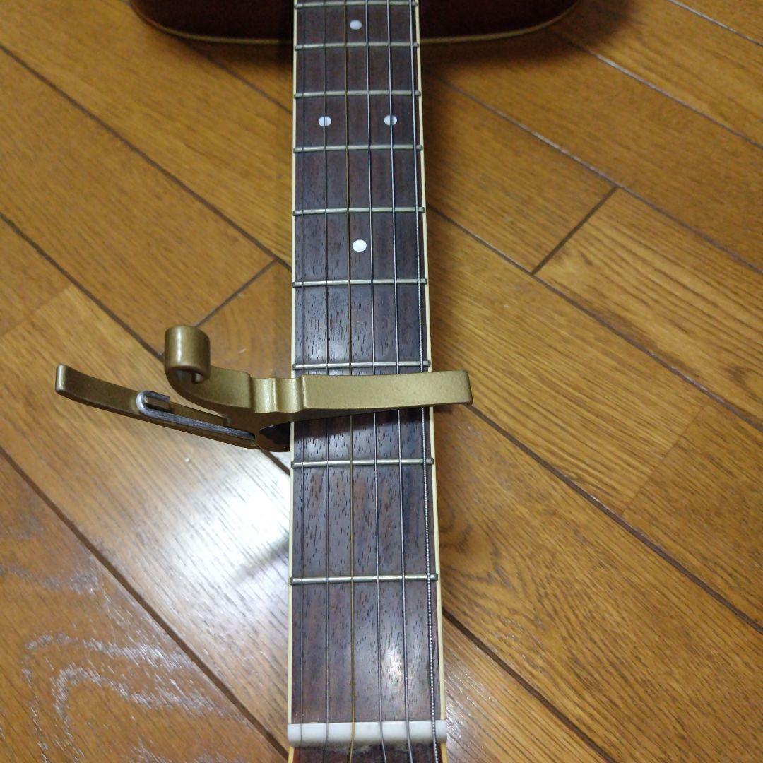 ギター Morris