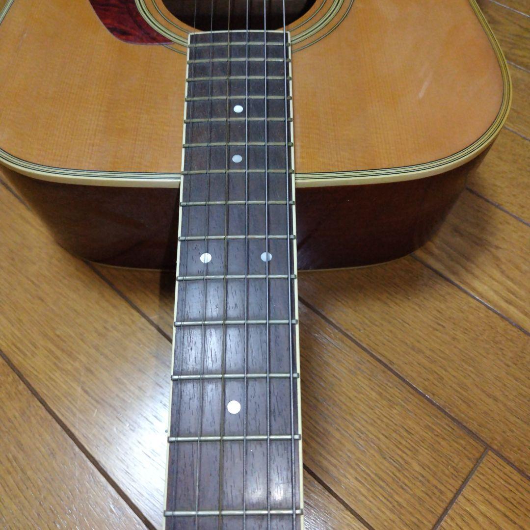 ギター Morris