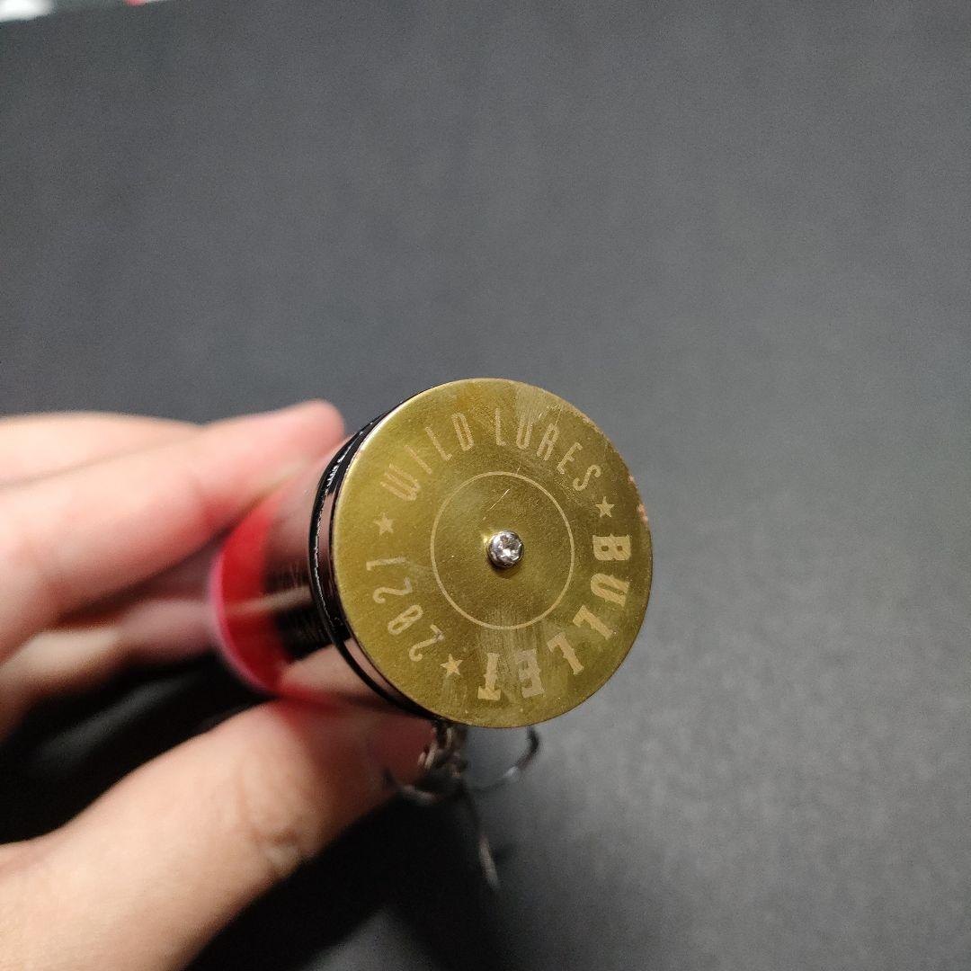 ワイルドルアーズ
