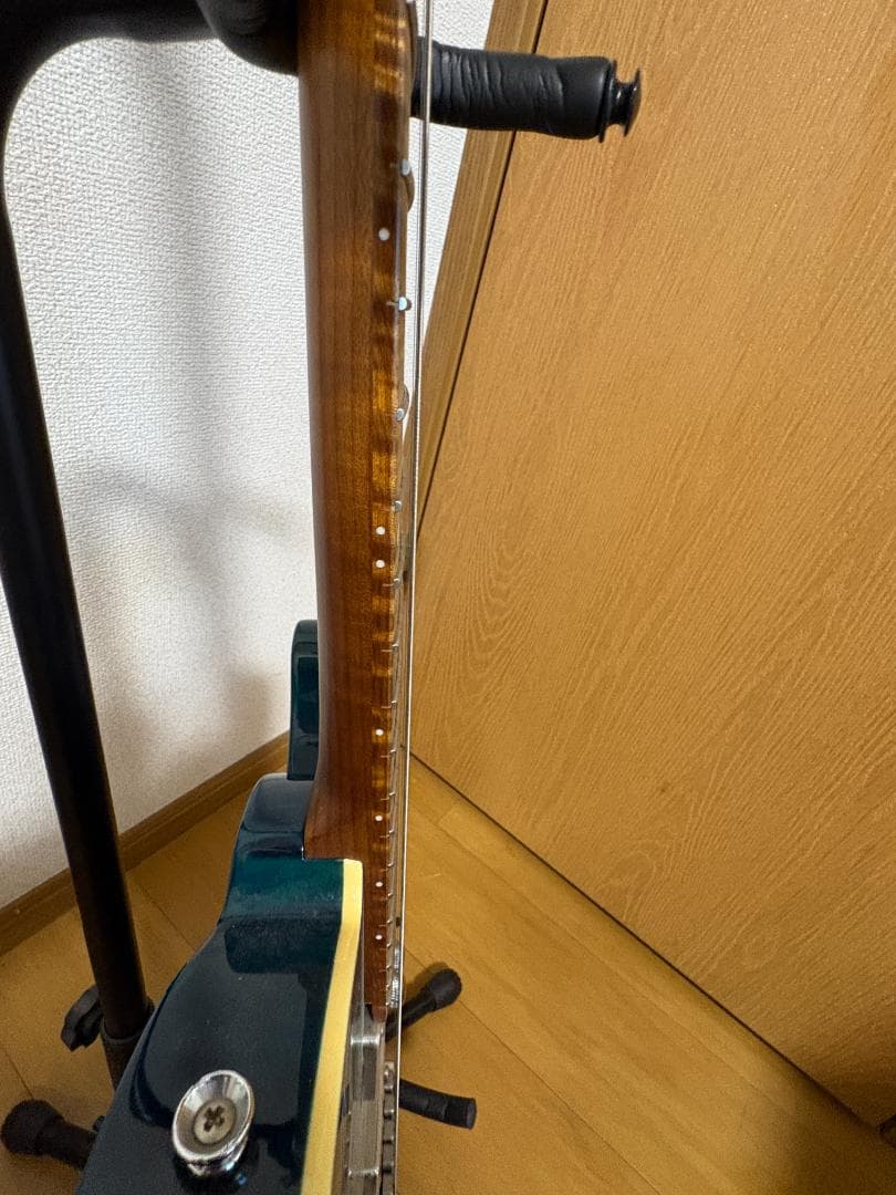 ギター Bacchus Global Series TACTICS24-ASH/RSM