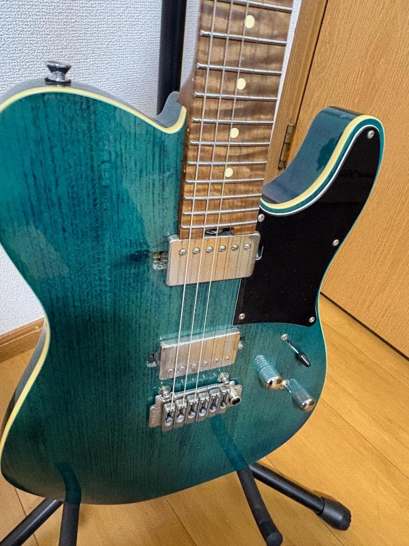 ギター Bacchus Global Series TACTICS24-ASH/RSM