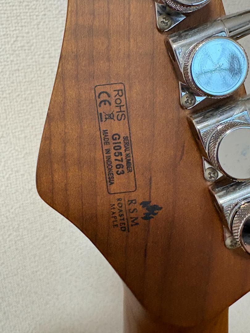 ギター Bacchus Global Series TACTICS24-ASH/RSM