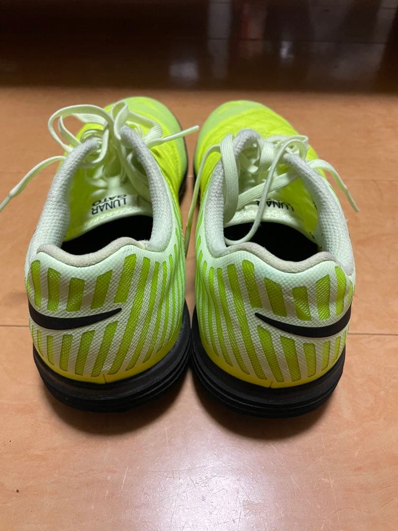 NIKE ルナガト2 25.0