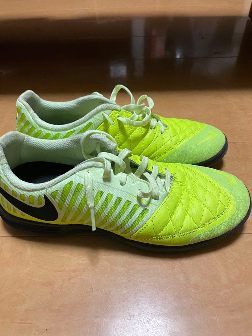NIKE ルナガト2 25.0