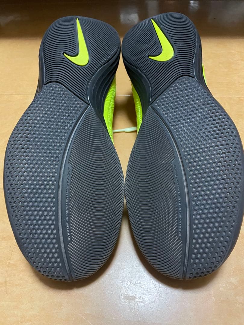 NIKE ルナガト2 25.0