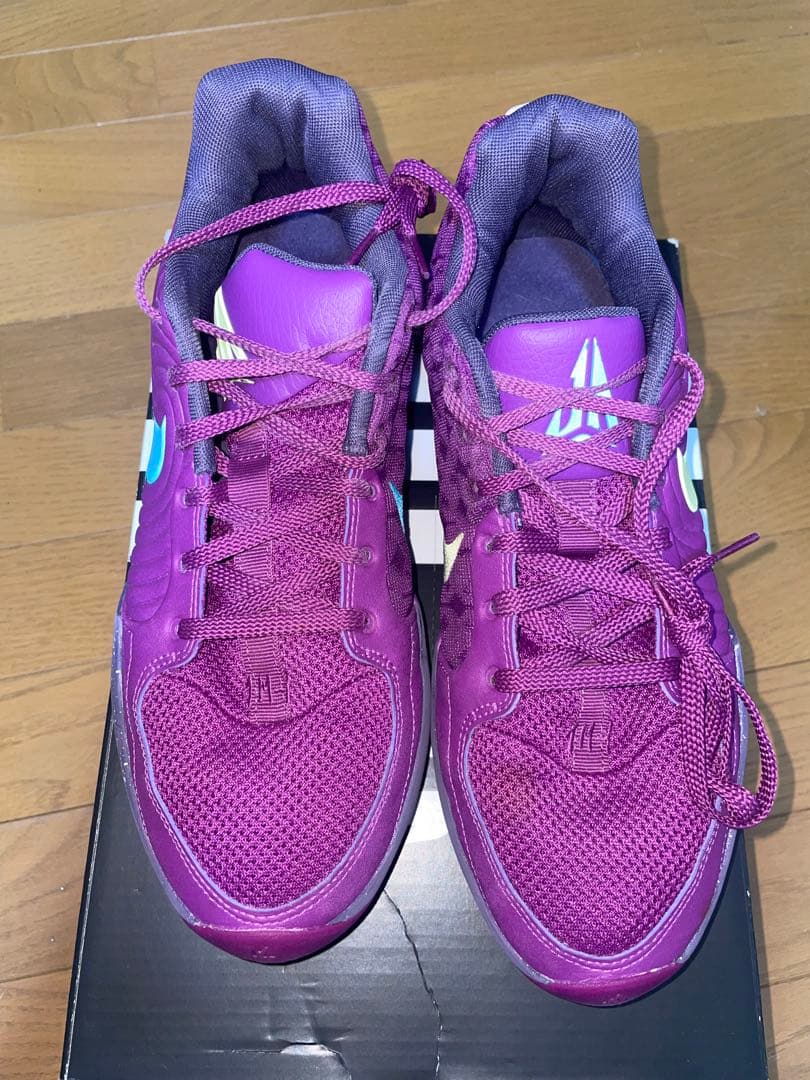 シューズ(男性用) NIKE JA2 'purple sky' 28.5cm