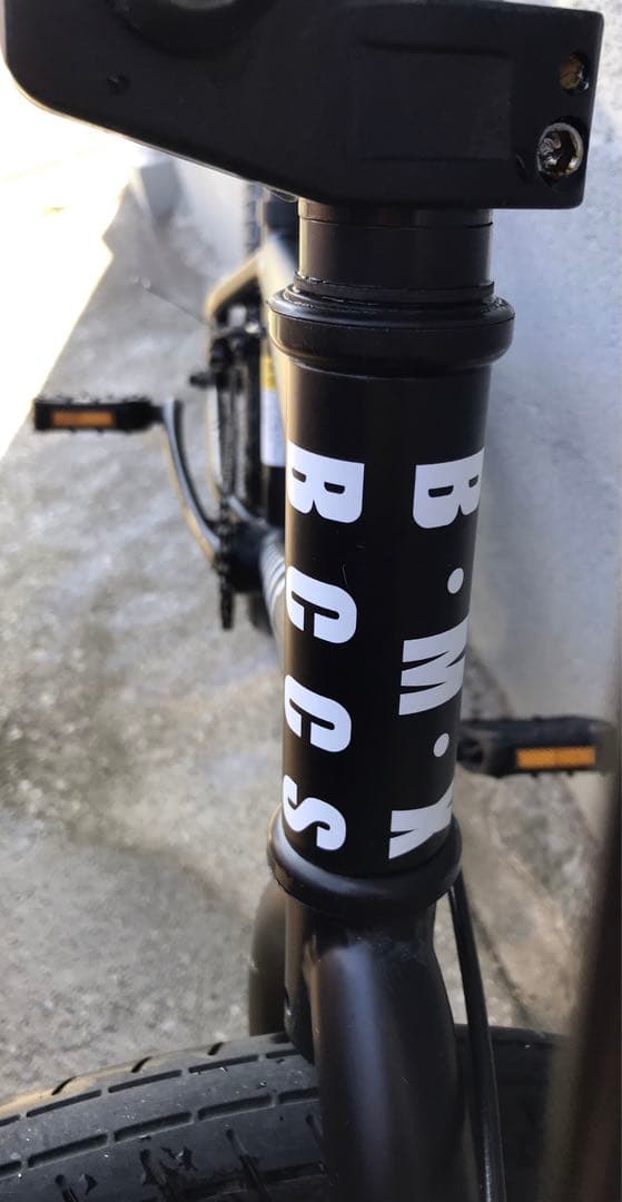 (AVASTA) BACCHUS ♡ BMX￼￼自転車