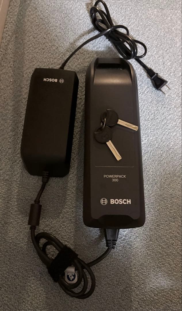 tern Quick Haul D8 ターン　クイックホール　直接引き渡しのみ