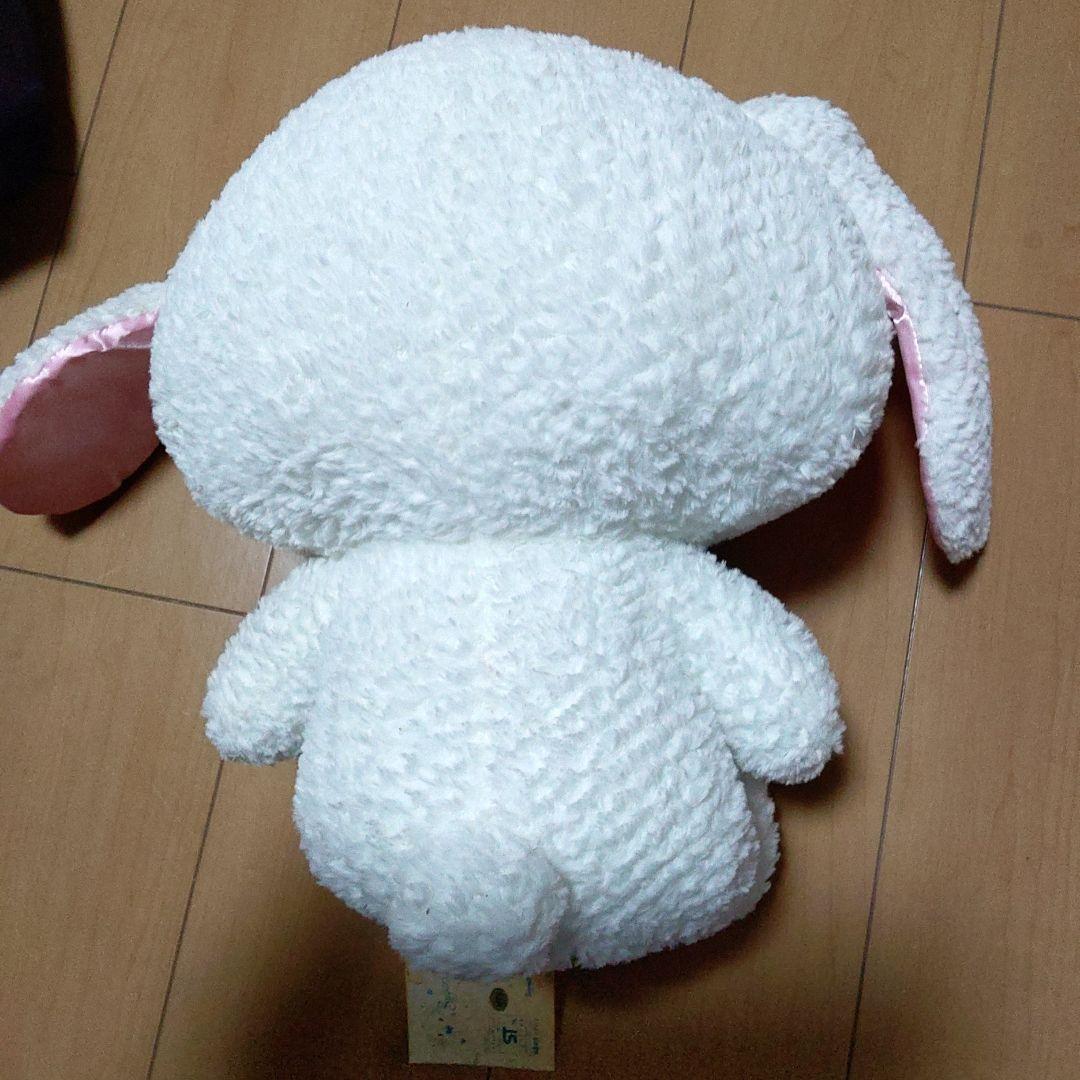 シュガーバニーズ　しろうさ