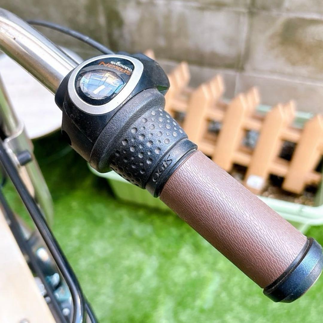 ペットと乗れる自転車⭐︎丸石サイクル ペットポーター ペット乗せ自転車