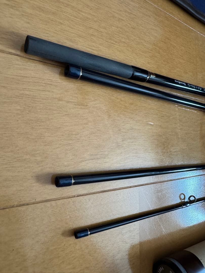 テンリュウ　レイズインテグラル　RZI755S-MLM