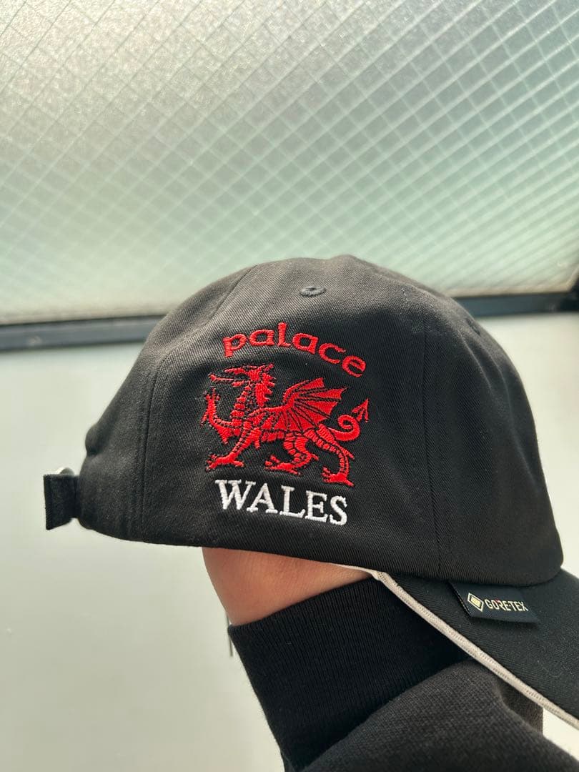 Palace GORE-TEX Golf 6-Panel WALES パレス