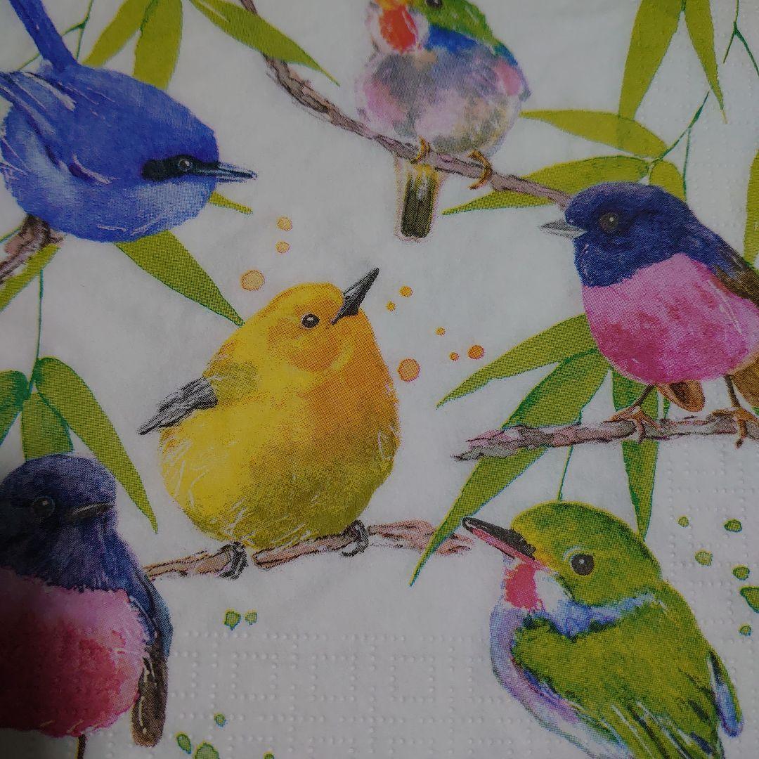 鳥ペーパーナプキン１０枚