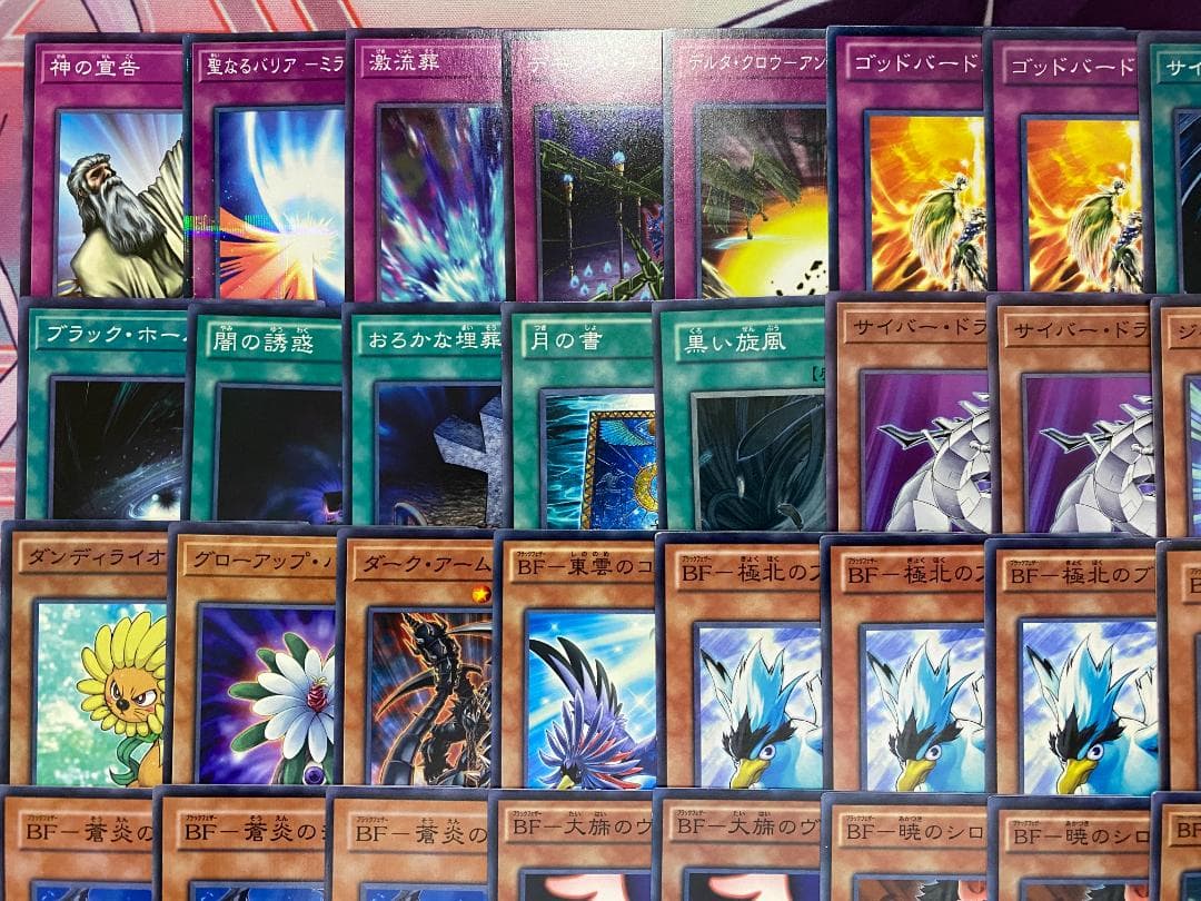 002【1103環境ゲートボール】ブラックフェザー　BF　本格構築済みデッキ