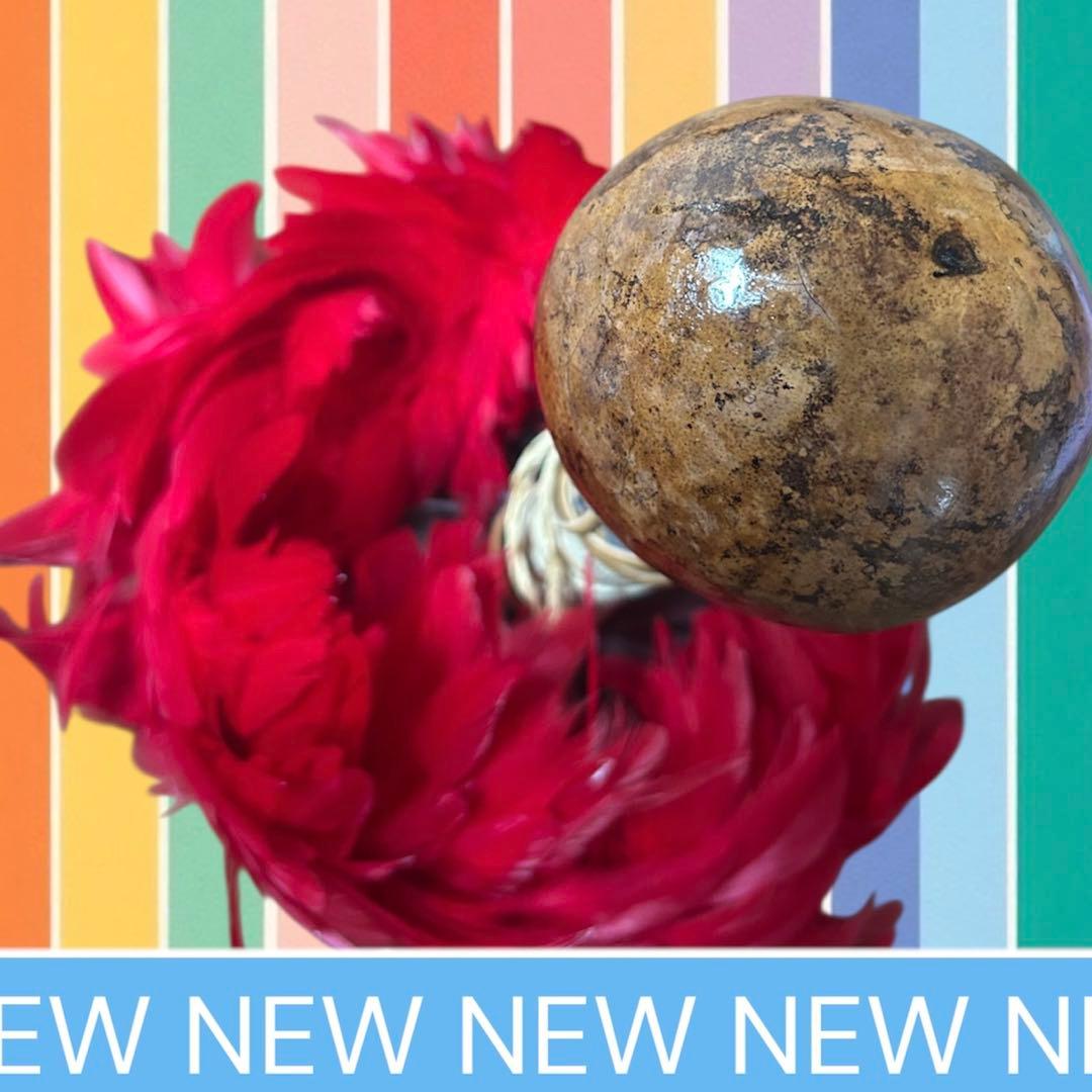 ハワイの楽器ウリウリ.フラダンス.ハワイ.一体型