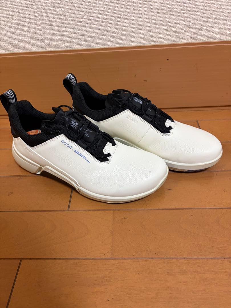 エコー バイオム H4 スパイクレス　限定品　コラボモデル　28cm相当