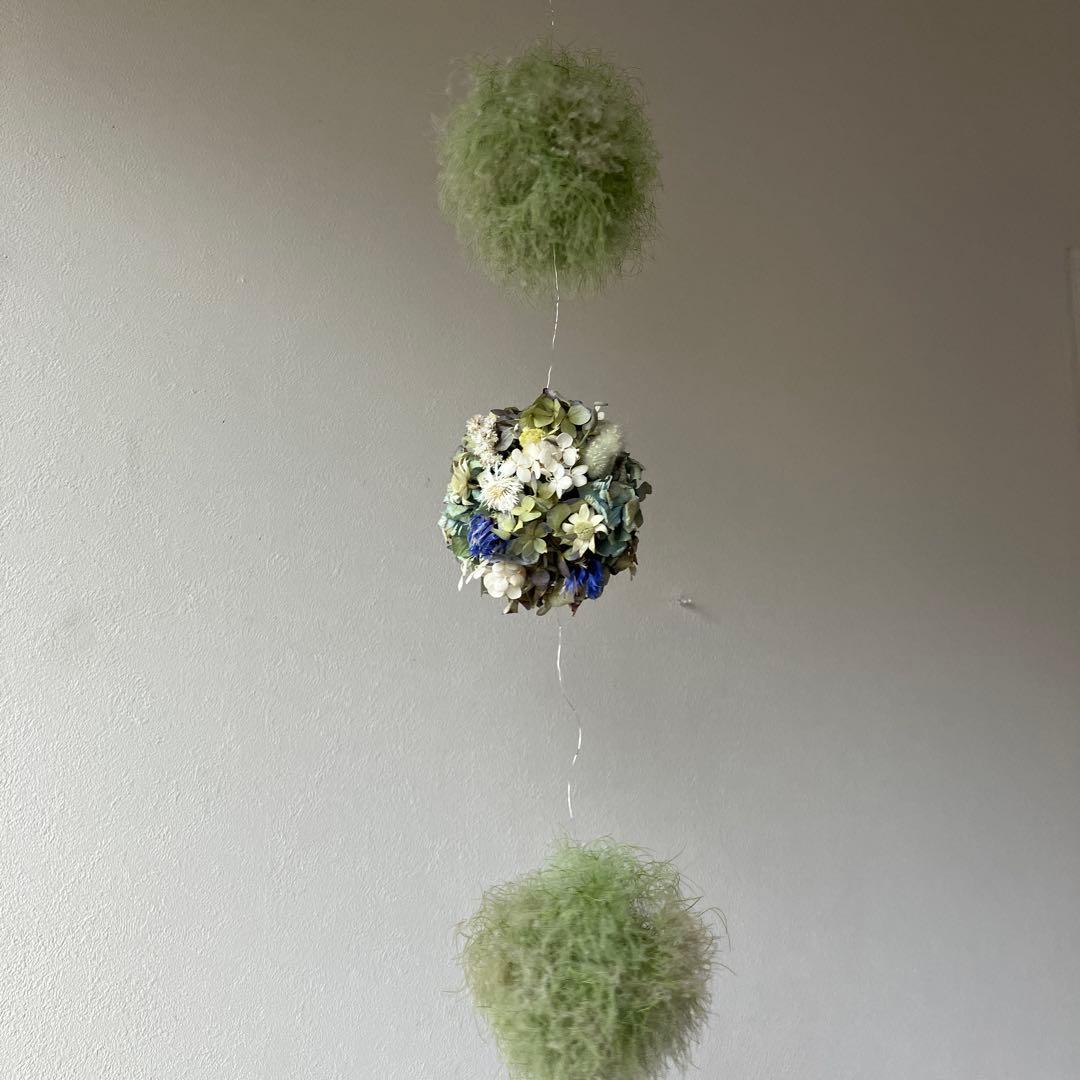 スモークツリー と紫陽花の3連ボールガーランド　千鳥草　フランネルフラワー