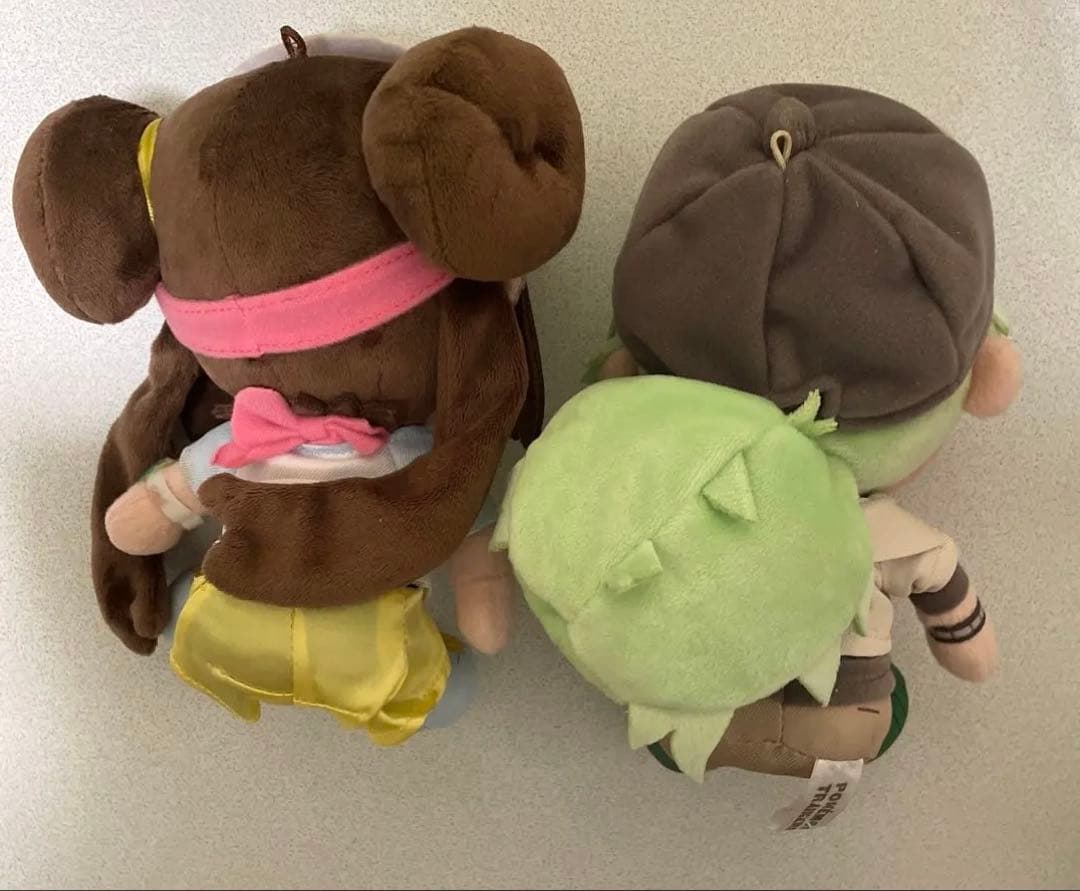 ポケモンセンター限定　ポケモントレーナー　メイ　N　ぬいぐるみ