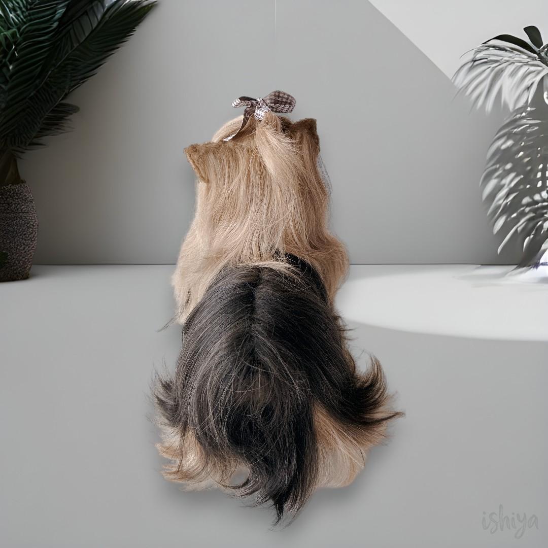 【２匹セット】DRESSY PET ヨークシャーテリア ドレッシーペット