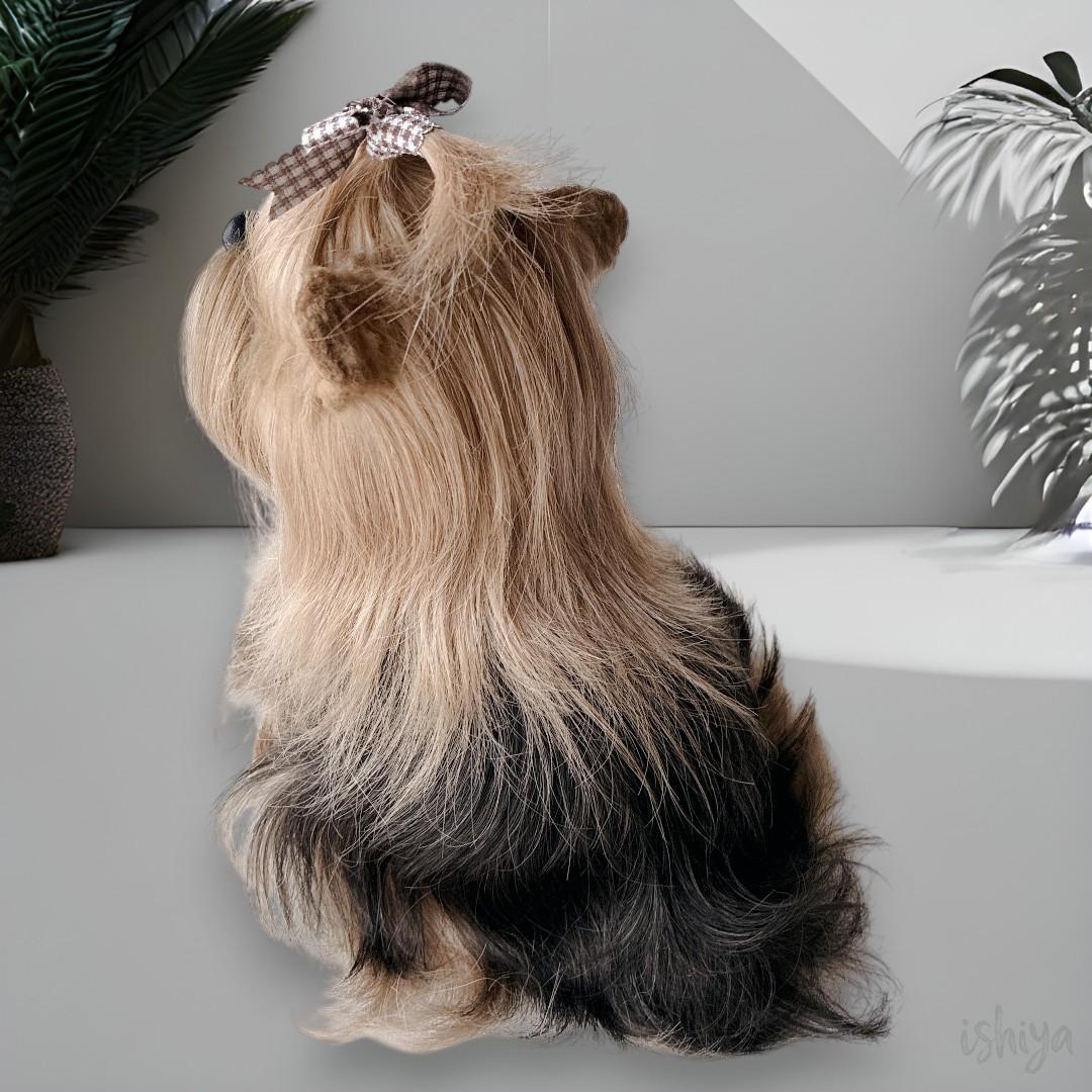 【２匹セット】DRESSY PET ヨークシャーテリア ドレッシーペット
