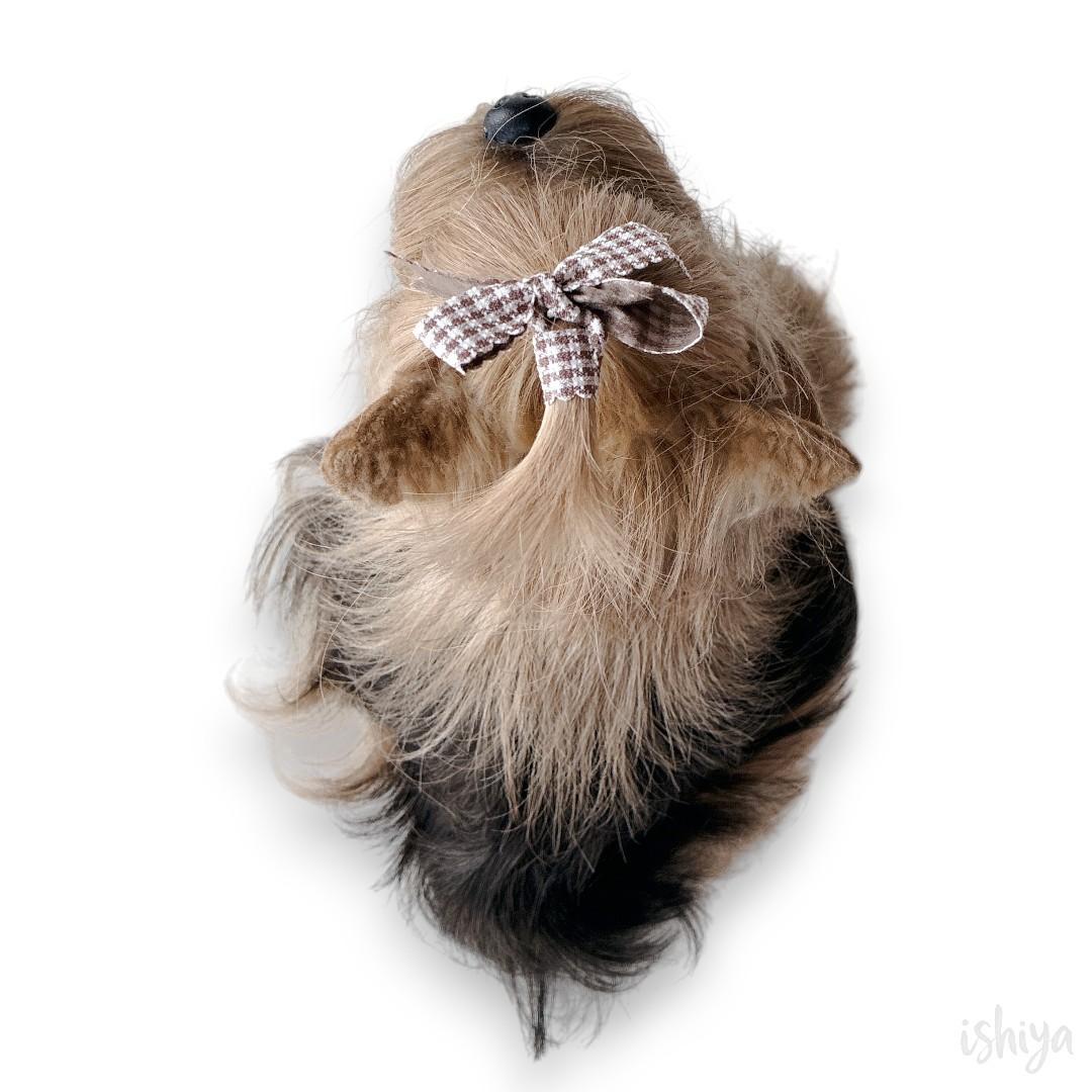 【２匹セット】DRESSY PET ヨークシャーテリア ドレッシーペット