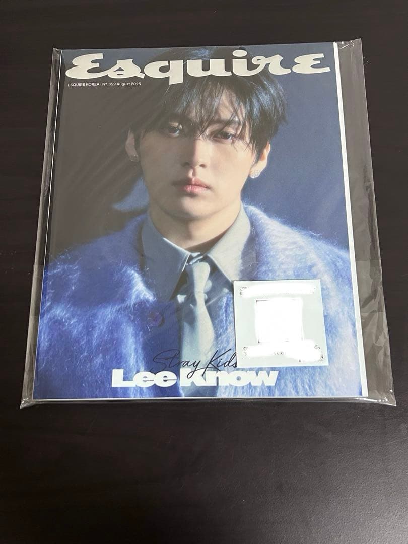 Stray Kids リノ グッズ 雑誌 まとめ売り